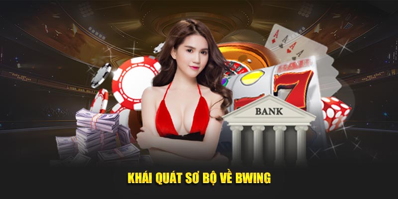 Khái quát sơ bộ về BWING